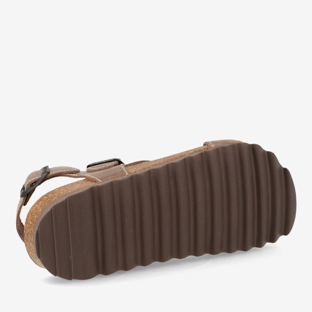 INTER-BIOS 9557 PARDO 893507