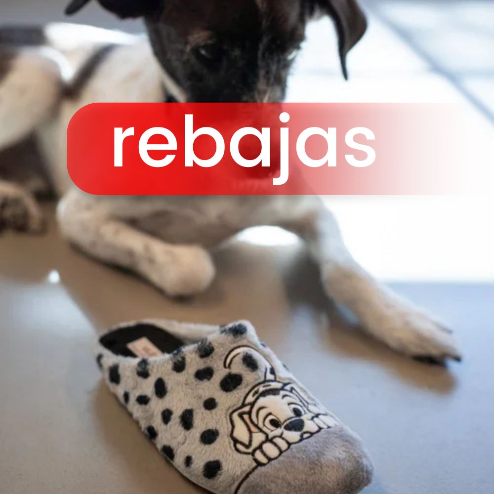 MUJER Zapatillas Hogar