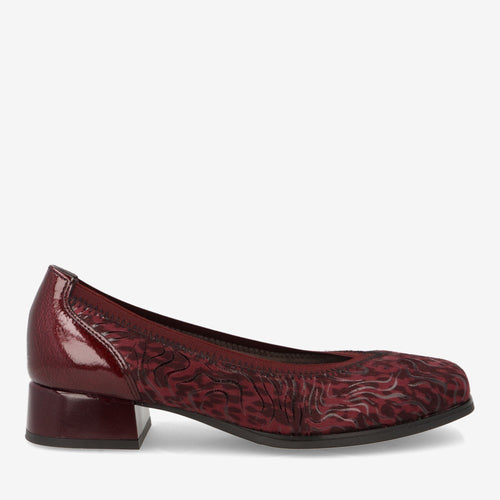 Zapatos PITILLOS Mujer