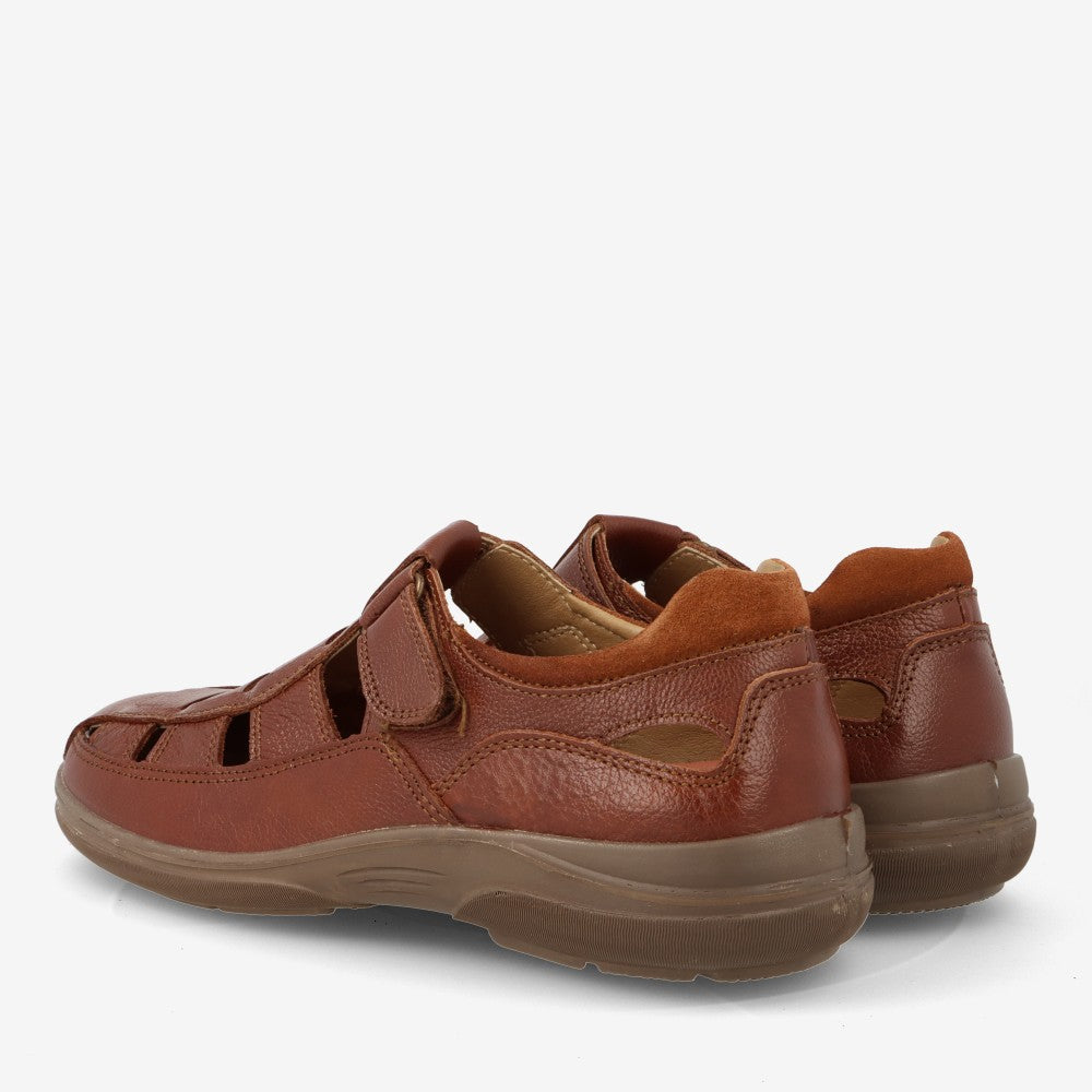 LUISETTI 13451 MARRON 826381
