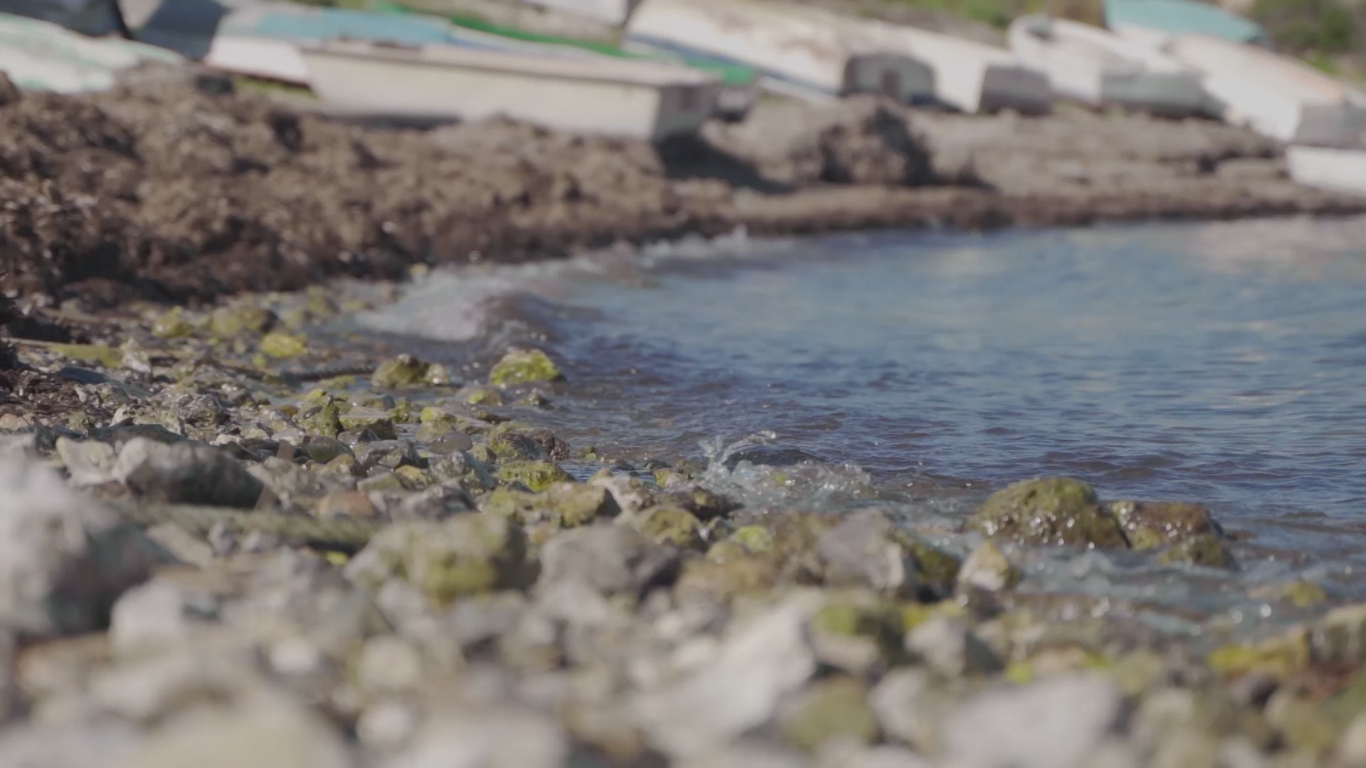 Cargar video: 